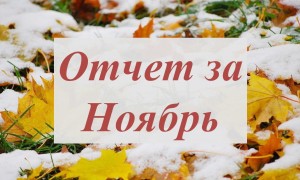 БФ «ТОЧКА ОПОРЫ» рассказывает, кому удалось помочь в ноябре