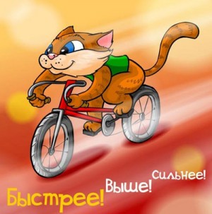 Поздравляем наших талантливых спортсменов!