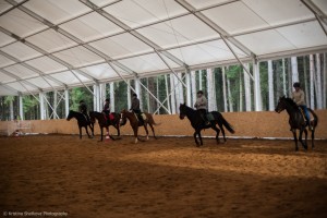 Достроим манеж вместе