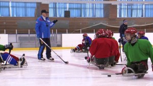 Занятия по следж-хоккею