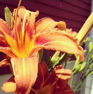 Поздравляем именинников августа!