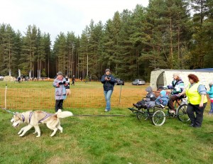Осенняя гонка на собачьих упряжках