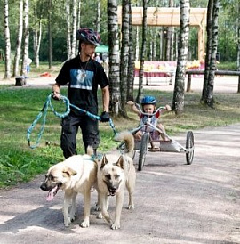 Ездовой спорт для всех!