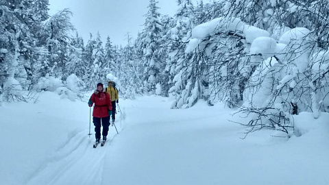 Препятствий было много, но мы справились!
